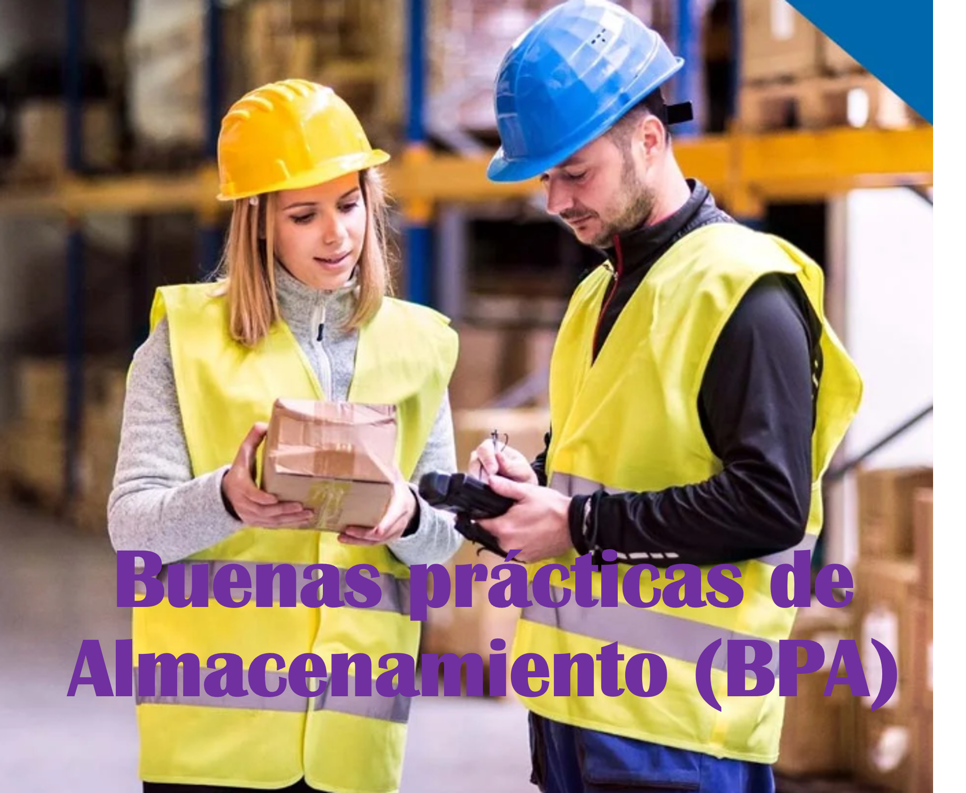 CURSO DE ACTUALIZACION: Buenas prácticas de Almacenamiento (BPA) en Establecimientos Farmacéuticos - Del 03 al 23 de julio 2026